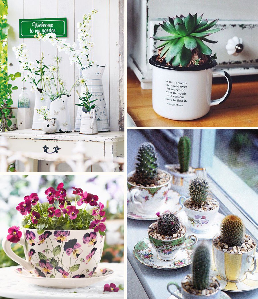 Plantas y flores en tazas y teteras. Giveitliveagain3